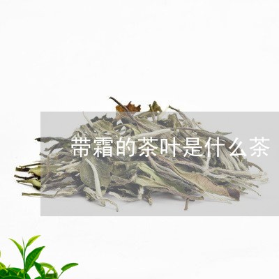 带霜的茶叶是什么茶/2023042696160