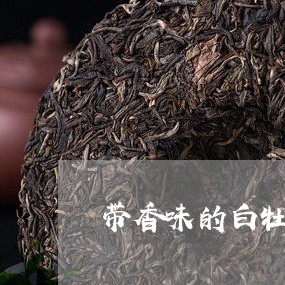 带香味的白牡丹好吗/2023091452693