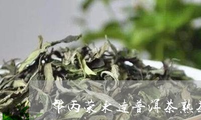 帮丙荣东达普洱茶熟茶/2023062234049