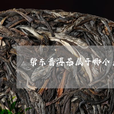 帮东普洱茶属于哪个产区/2023122038260