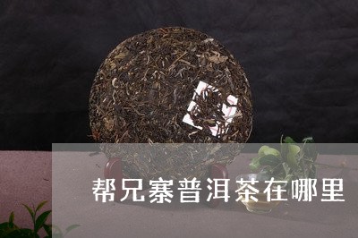 帮兄寨普洱茶在哪里/2023071072825