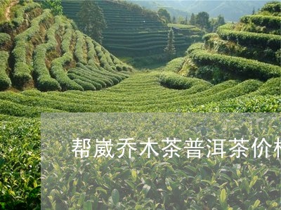 帮崴乔木茶普洱茶价格/2023100881635