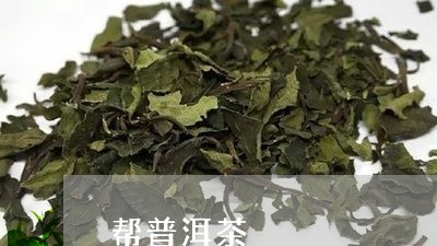 帮普洱茶/2023110868270