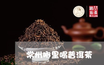 常州哪里喝普洱茶/2023120432706