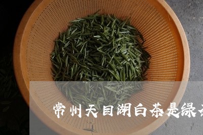 常州天目湖白茶是绿茶吗/2023102586947