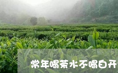 常年喝茶水不喝白开水/2023092136491