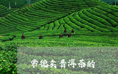 常德卖普洱茶的/2023102641693