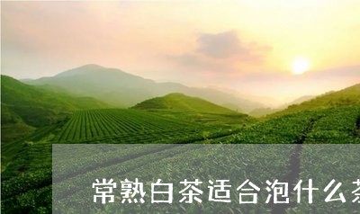 常熟白茶适合泡什么茶叶/2023102557147