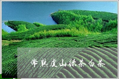 常熟虞山绿茶白茶/2023062053614