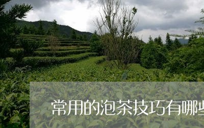 常用的泡茶技巧有哪些/2023071582614