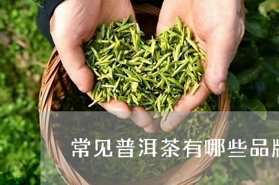 常见普洱茶有哪些品牌的/2023121691473