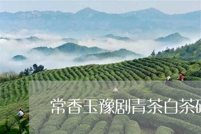 常香玉豫剧青茶白茶砖桥/2023102516239