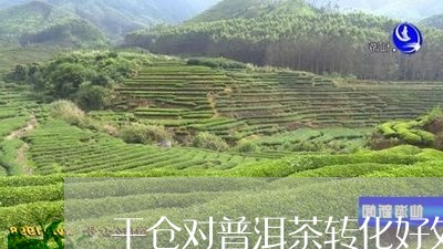 干仓对普洱茶转化好处/2023062267370