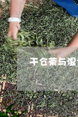 干仓茶与湿仓茶的区别/2023060916150