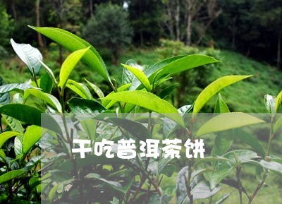 干吃普洱茶饼/2023042746753