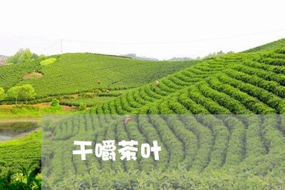 干嚼茶叶/2023090147161