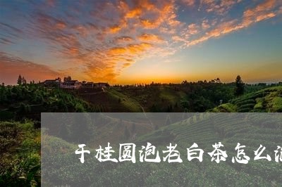 干桂圆泡老白茶怎么泡/2023100145936