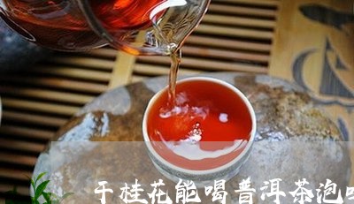 干桂花能喝普洱茶泡吗/2023072363726