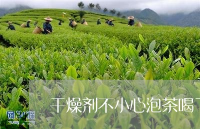 干燥剂不小心泡茶喝了/2023060909261