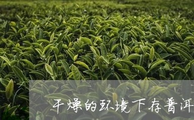 干燥的环境下存普洱茶/2023062425159