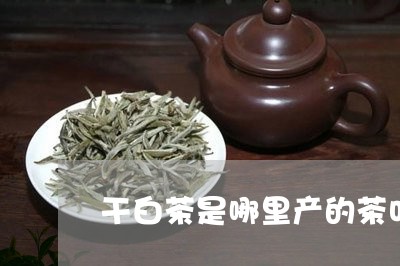 干白茶是哪里产的茶叶/2023100194847