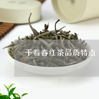 干看春红茶品质特点/2023042071605