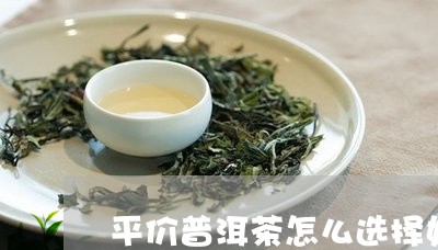 平价普洱茶怎么选择好的/2023103110493