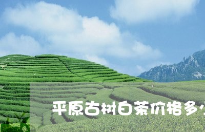 平原古树白茶价格多少钱/2023102560603