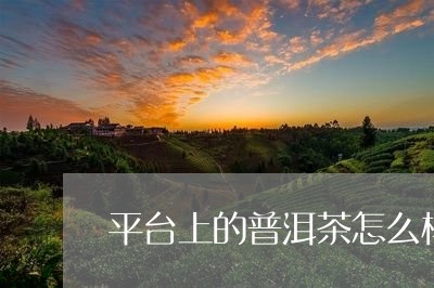 平台上的普洱茶怎么样/2023072239370