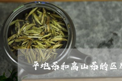 平地茶和高山茶的区别/2023060970502