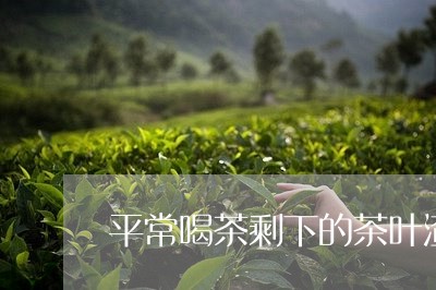 平常喝茶剩下的茶叶渣属于什么垃圾/2023060462615