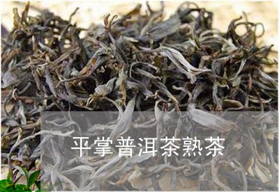 平掌普洱茶熟茶/2023102673716