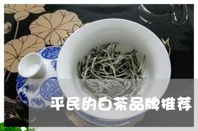 平民的白茶品牌推荐/2023102545857