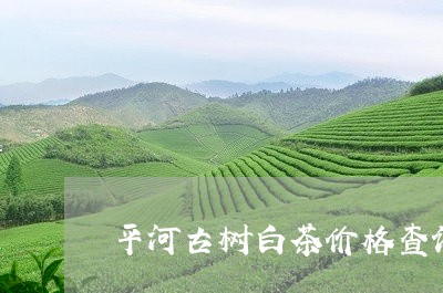 平河古树白茶价格查询/2023080169593