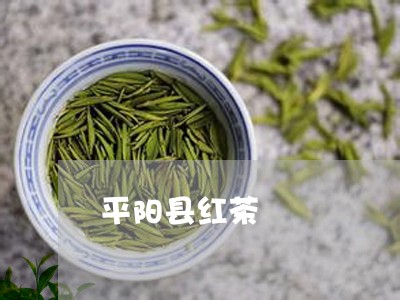 平阳县红茶/2023110911703