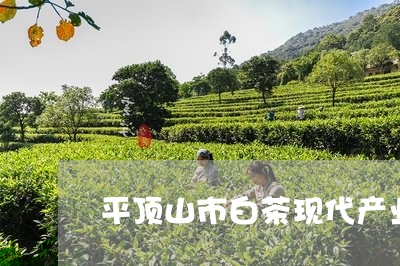 平顶山市白茶现代产业园/2023102517260