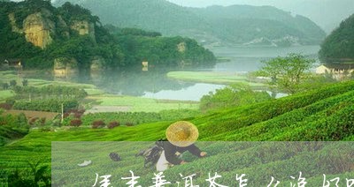 年丰普洱茶怎么泡好喝/2023120605948