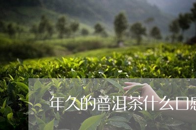 年久的普洱茶什么口感/2023062467252