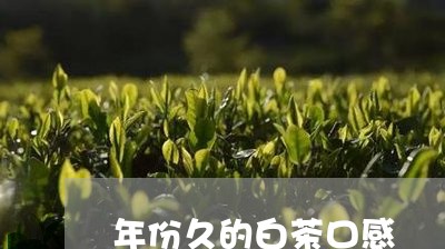 年份久的白茶口感/2023062075138