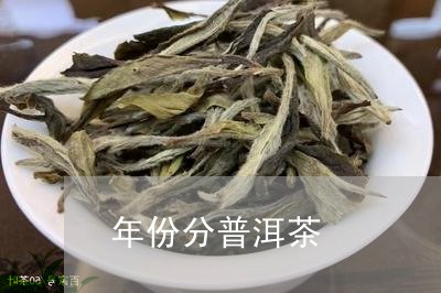 年份分普洱茶/2023042674524