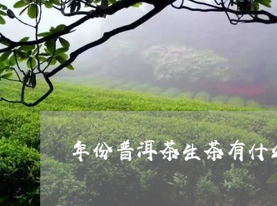 年份普洱茶生茶有什么/2023080349391