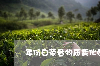 年份白茶各物质变化图/2023100189370