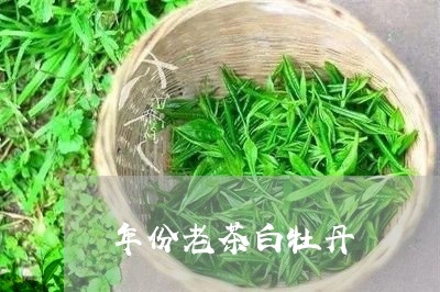 年份老茶白牡丹/2023112391806