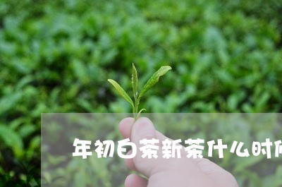 年初白茶新茶什么时候出/2023102593947