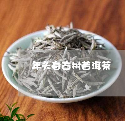 年头春古树普洱茶/2023120456150