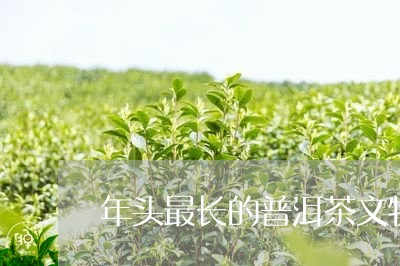 年头最长的普洱茶文物/2023080313614