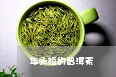 年头短的普洱茶/2023081596947