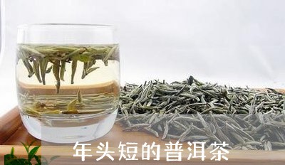 年头短的普洱茶/2023101653917