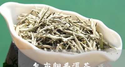 年布朗普洱茶/2023042633221