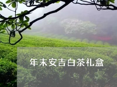 年末安吉白茶礼盒/2023062072816